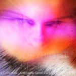 fine art and exhibition photography by alayna de graaf